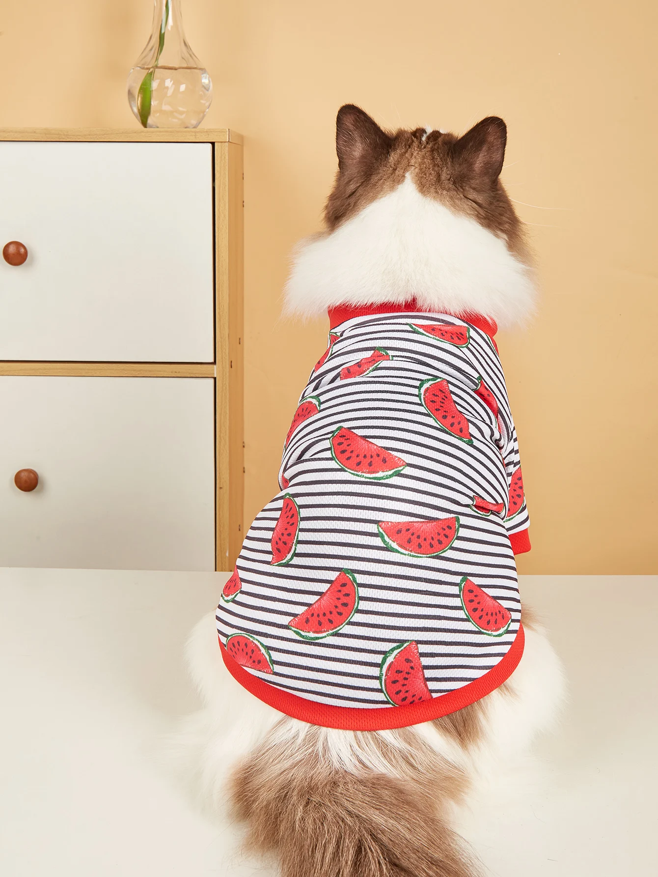 Camiseta a rayas con estampado de sandía para perro y gato, ropa fresca para mascotas, disfraz de verano