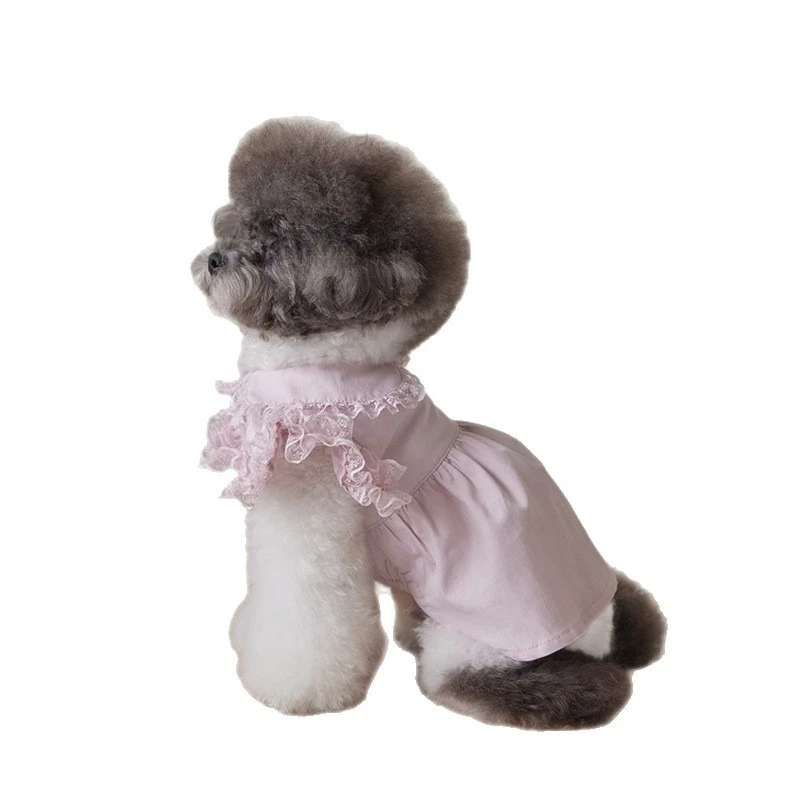 Vestido de mujer con manga voladora de encaje de primavera para mascotas, vestido con cuello de peluche, ropa para perros pequeños, camiseta, ropa para cachorros - imagen 4