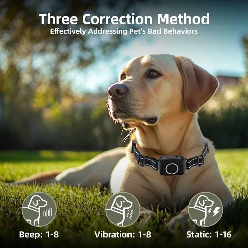 Collar antiladridos para perros: adiestramiento eficaz - imagen 5