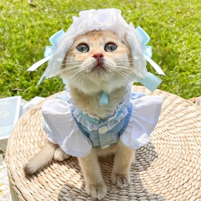 Ropa de primavera y verano para mascotas, vestido de sirvienta para perros pequeños, falda para gatos, vestidos de boda de verano para perros, ropa para mascotas Chihuahua Yorkies - imagen 4