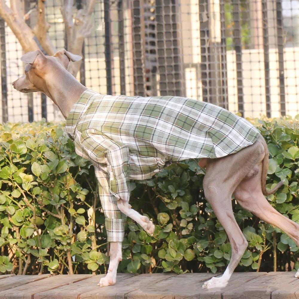 Abrigo de primavera de manga larga de algodón verde para perros medianos, camisa a cuadros de café suave para chaqueta roja Whippet de galgo italiano en otoño - imagen 4