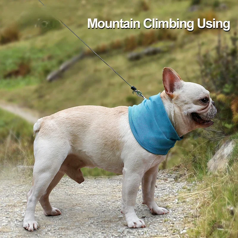Bandana instantánea para accidentes de calor de mascotas, previene la correa de enfriamiento transpirable reutilizable, bufanda, Collar físico, hielo para perros de verano, agujero al aire libre con - imagen 5
