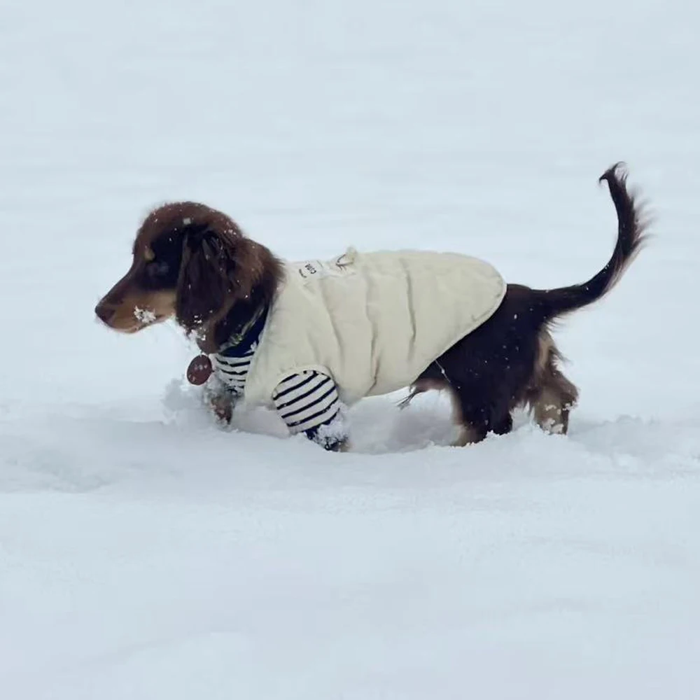 Chaqueta gruesa de lana Beige para perros Wiener, chaleco cálido de invierno para perros salchicha, ropa de descanso suave para perros salchichas de medios pequeños