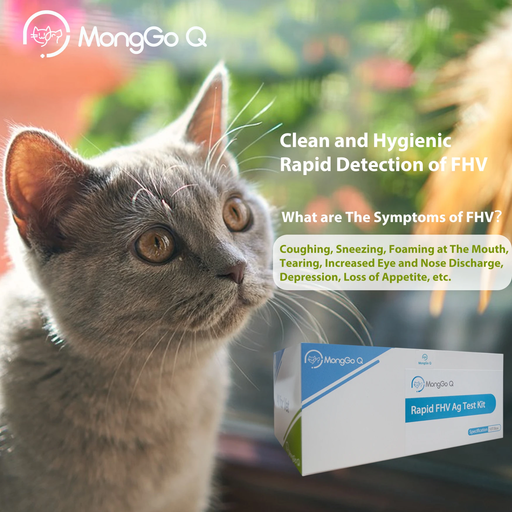 MongGo Q 10-Packed Rapid Feline Herpes FHV Ag Detección de secreciones bucales y nasales Kit de prueba para gatos, - imagen 3