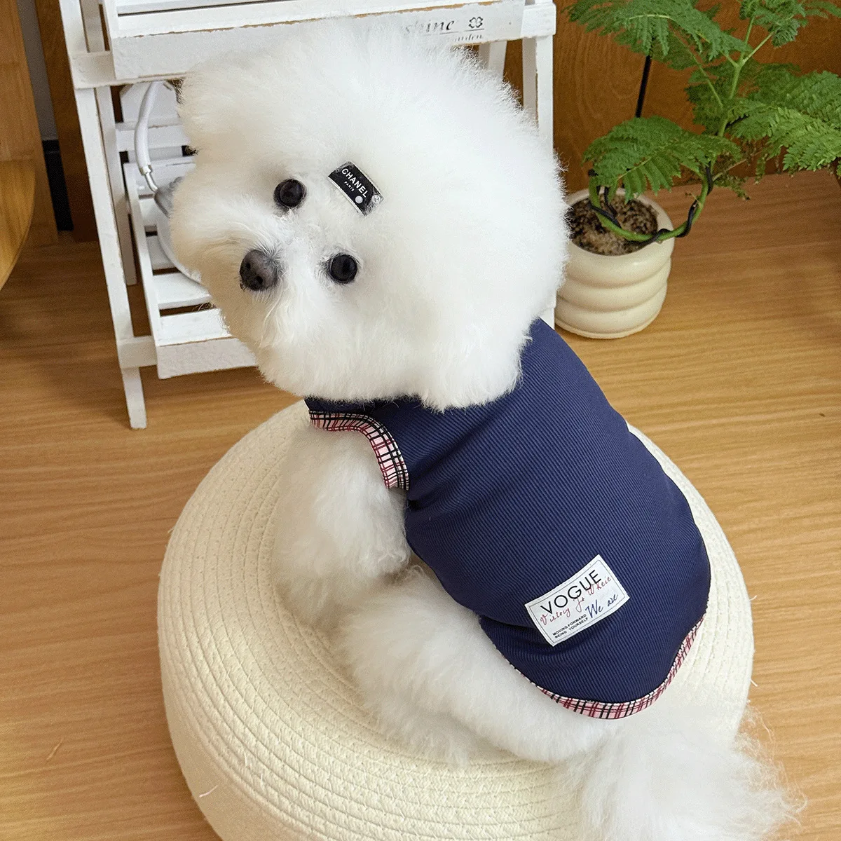 Ropa camisa con falda otoño invierno para perros pequeños y gatos - imagen 4