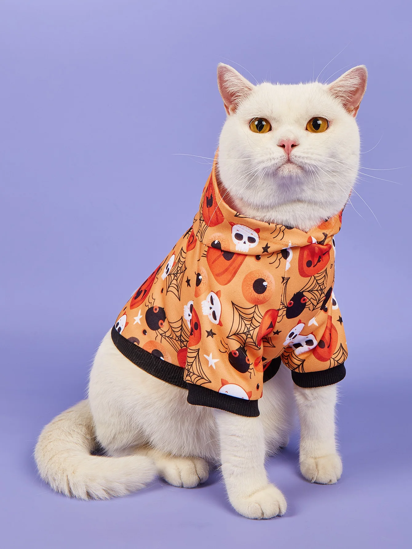 Disfraz sudadera Halloween para perro y gato pequeño – Calabaza - imagen 2