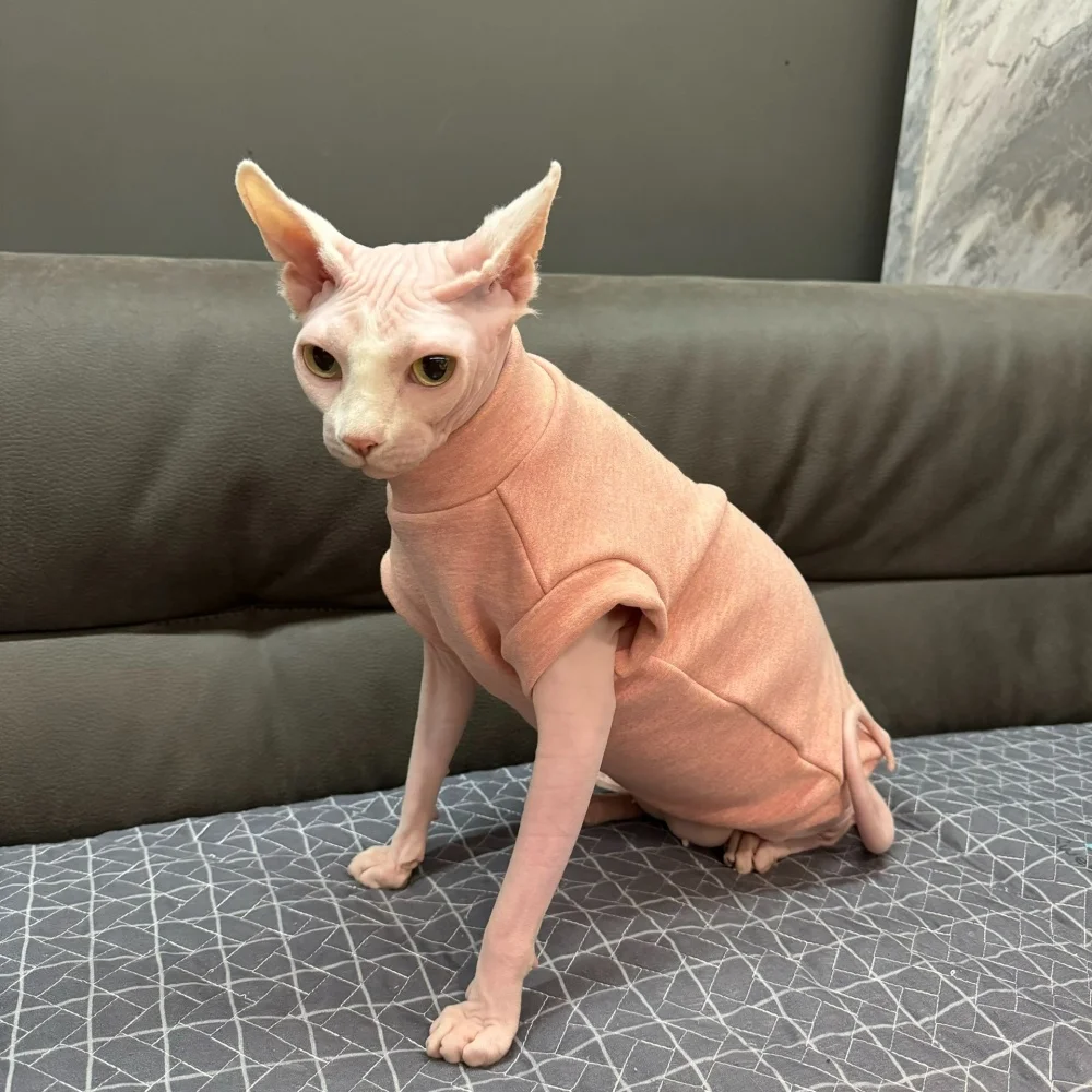 Chaleco de vellón verde de manga corta para Sphynx Cat Sudadera de invierno suave y cálida para gatitos Abrigo rosa grueso para Devon Rex en otoño - imagen 2
