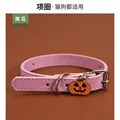 pink collar pumpkin