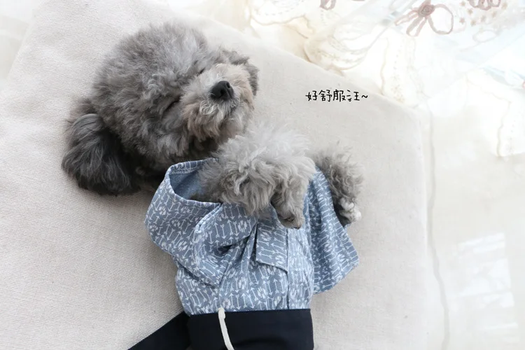 Ropa para mascotas, ropa fina para perros y gatos, Kimono de estilo japonés Yukata para Festival, ropa para mascotas, disfraz bonito para mascotas, ropa de diseñador para perros - imagen 5