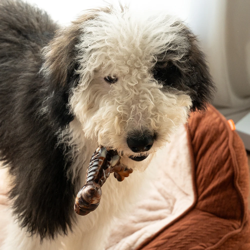 Juguete masticable Indestructible con forma de langosta para perros, masticadores agresivos, juguete de nailon duradero para perros grandes, medianos y pequeños - imagen 3