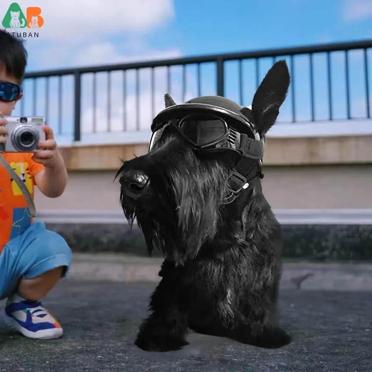 ATUBAN Cool Pet Casco de motocicleta: gafas ligeras y diseño de orificios para las orejas, protección elegante para perros pequeños, montar y conducir - imagen 2