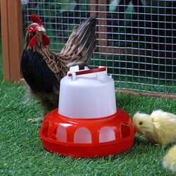 Bebedero automático para gallinas, codornices y palomas con cubeta