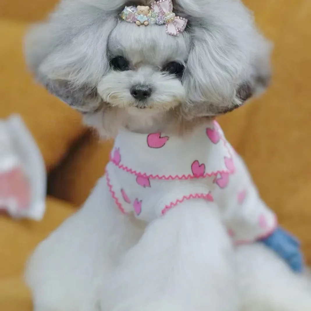 Falda vaquera con Base de malla pura para mascotas, Parkas para perros de otoño e invierno, abrigo, traje interior, ropa para cachorros y perros pequeños de Pomerania - imagen 4