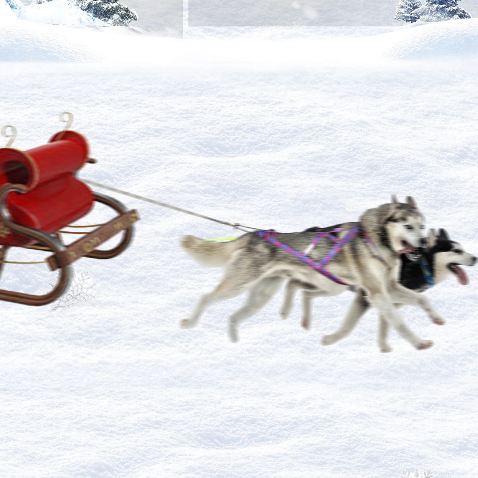 Arnés de tracción para perros, arnés reflectante para sobremesa de mascotas, arnés para Skijoring, chaleco para tirar de peso para perros grandes y grandes, suministros de entrenamiento para mascotas - imagen 3