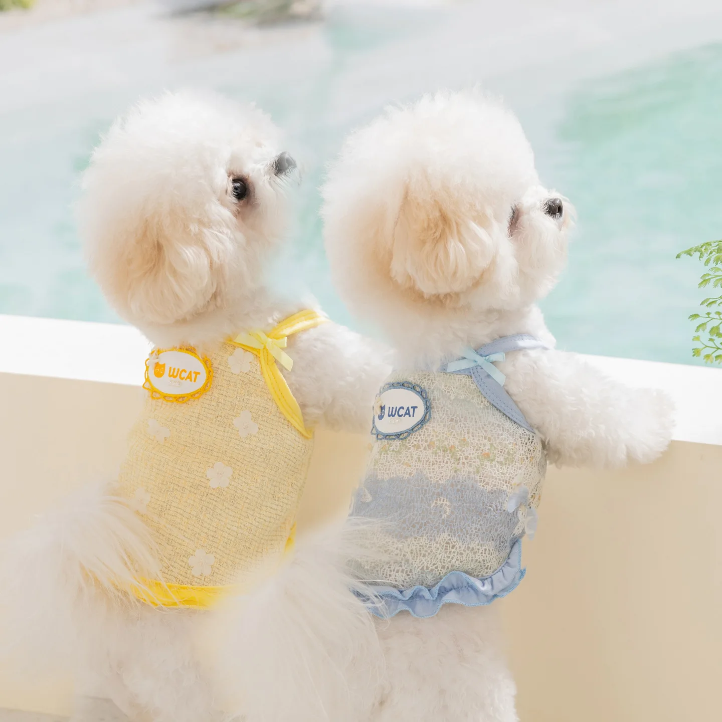 Camiseta de malla transpirable para perros con protección solar - imagen 4