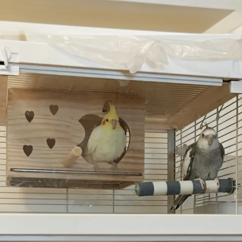 Juguetes creativos para pájaros, loros, pájaros, juguete canario, Lovebird, suministros para loros, periquitos, palomas, jaulas, accesorios, juguetes pequeños para gallinero - imagen 4
