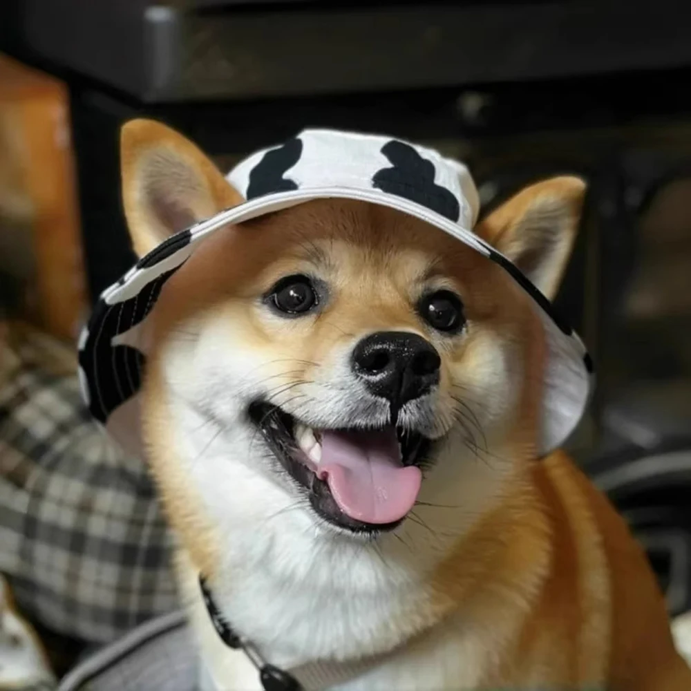 Gorra protección solar ajustable para perros Shiba Inu, Corgi y gatos - imagen 5