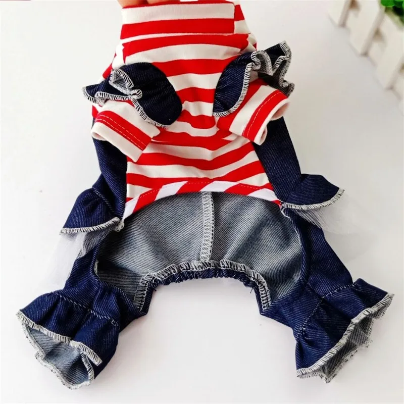 Ropa Vaquera - En perro