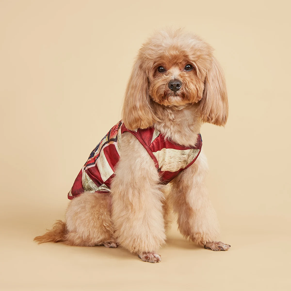 Ropa para mascotas para perros, gatos, cachorros, camiseta sin mangas, abrigo, sudadera con bandera americana, trajes para perros, Día de la Independencia para perros pequeños y medianos Yorkie Ch - imagen 3