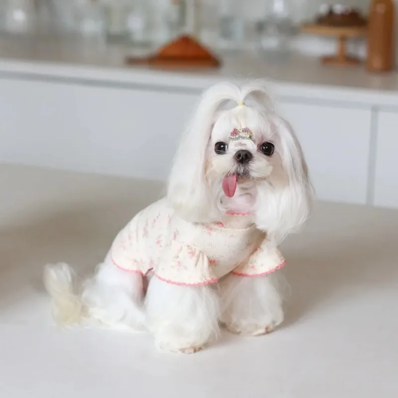 Camisa de encaje con Base Floral para perro, jersey con capucha a cuadros, ropa cálida y bonita para Gato, ropa para cachorros de oso de peluche compartida, invierno - imagen 3