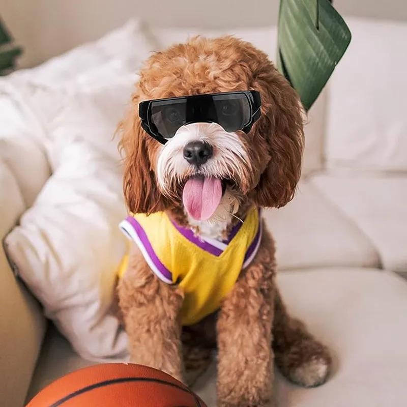 Gafas de sol anti-UV para mascotas, lentes a prueba de viento y lluvia para viajes al aire libre, suministros para mascotas, nuevo diseño - imagen 3