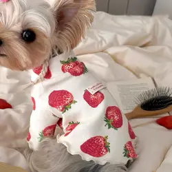 Chaleco fresa para gato y perro pequeño – Ropa de otoño abrigada