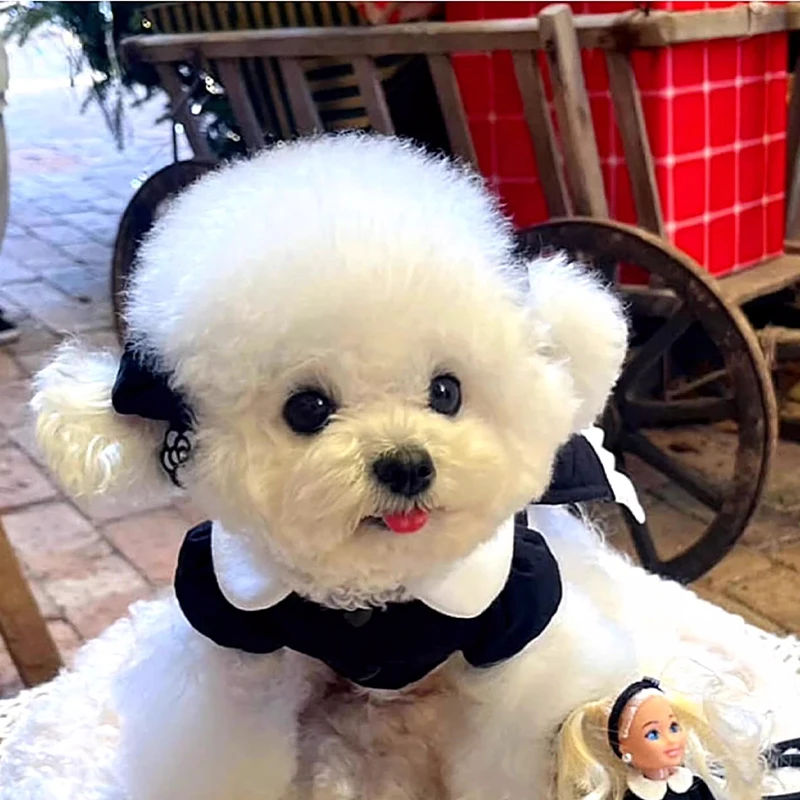 Vestido para perros de invierno, chaleco cálido de algodón blanco y negro para mascotas, ropa para perros pequeños, falda para cachorros, ropa para Chihuahua y Yorkshire, abrigo para perros - imagen 5