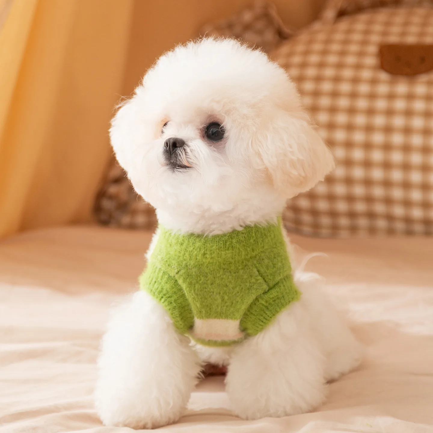 Suéter a rayas para mascotas de otoño e invierno, suéter de dos piernas con flores bordadas, abrigo para mascotas, ropa para perros y gatos, ropa para cachorros pequeños - imagen 2