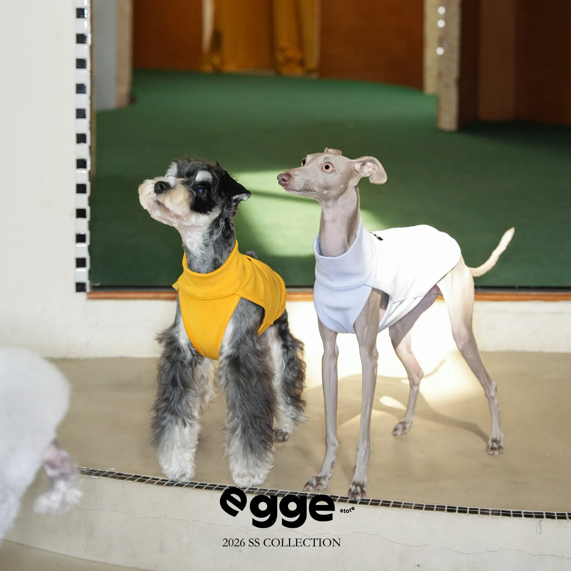 Chaleco forro polar sin mangas para perros Whippet – Pijama suave - imagen 5