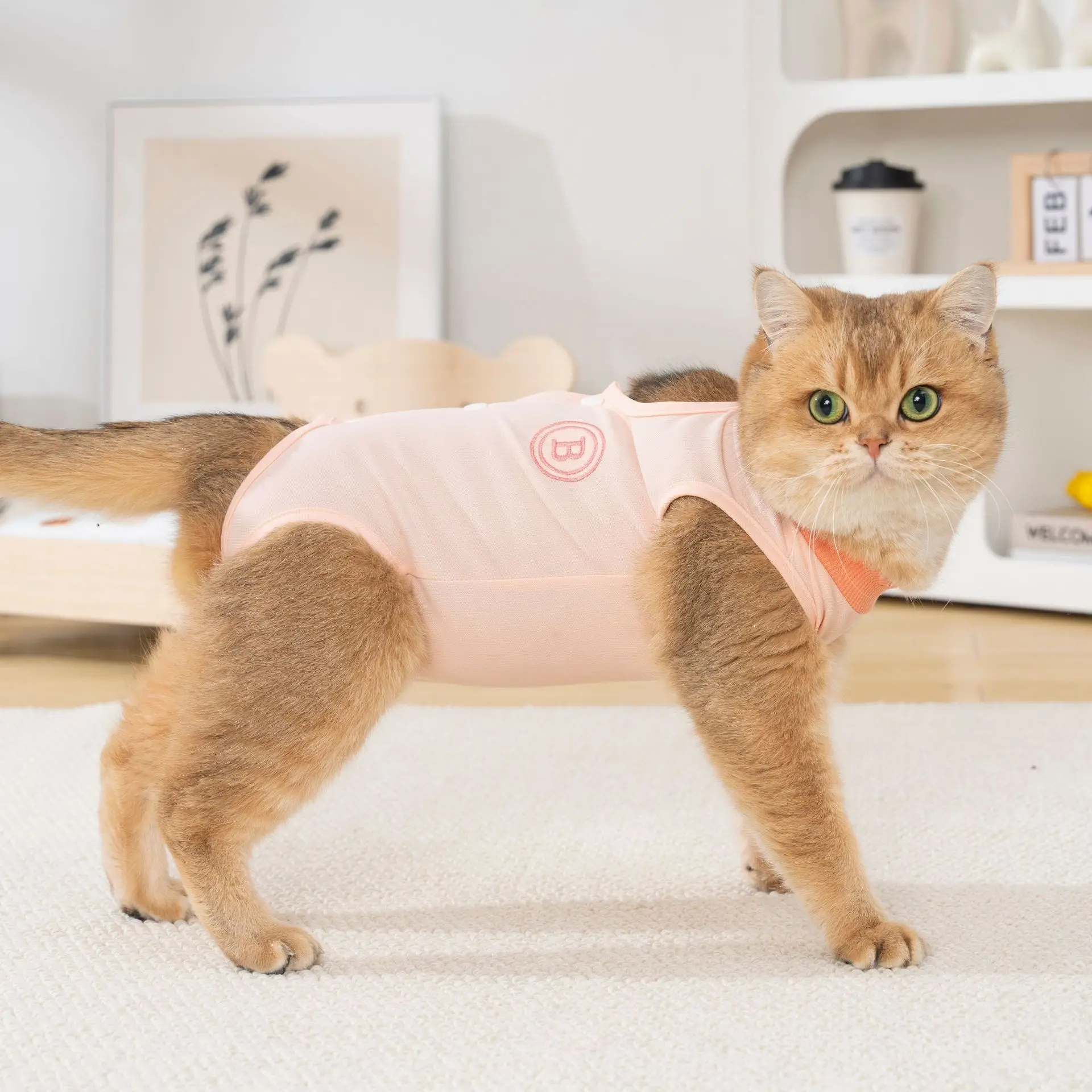Traje de recuperación para gatos - mono transpirable postquirúrgico - imagen 3