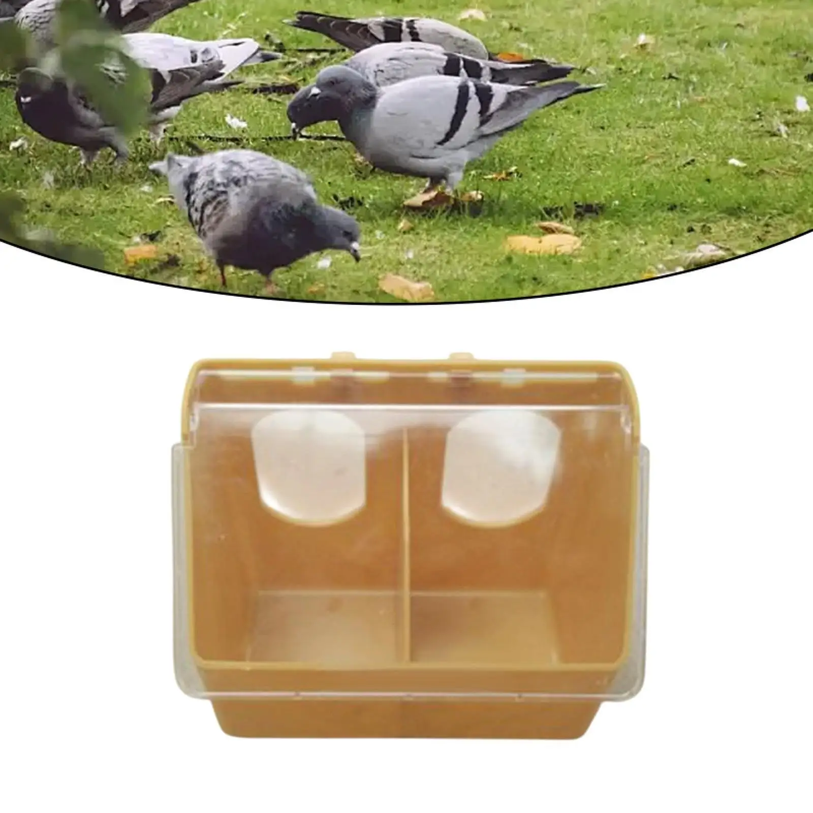 Bird Feeder Pigeon Feeder Water Water Dispenser Food Feeding Station Food Container Hanging Parrot Feeder for Parakeet Pigeon