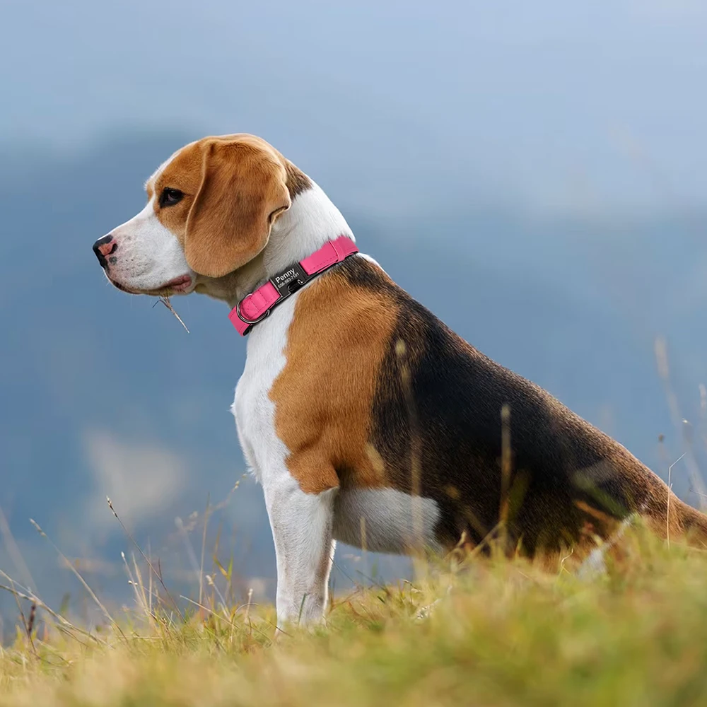 Collar de perro personalizado, collares de cuero PU personalizados para perro, Collar ajustable con etiqueta de nombre de identificación de mascota para perros pequeños y medianos, Pug Perros S-L - imagen 5