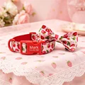 Red Strawberry