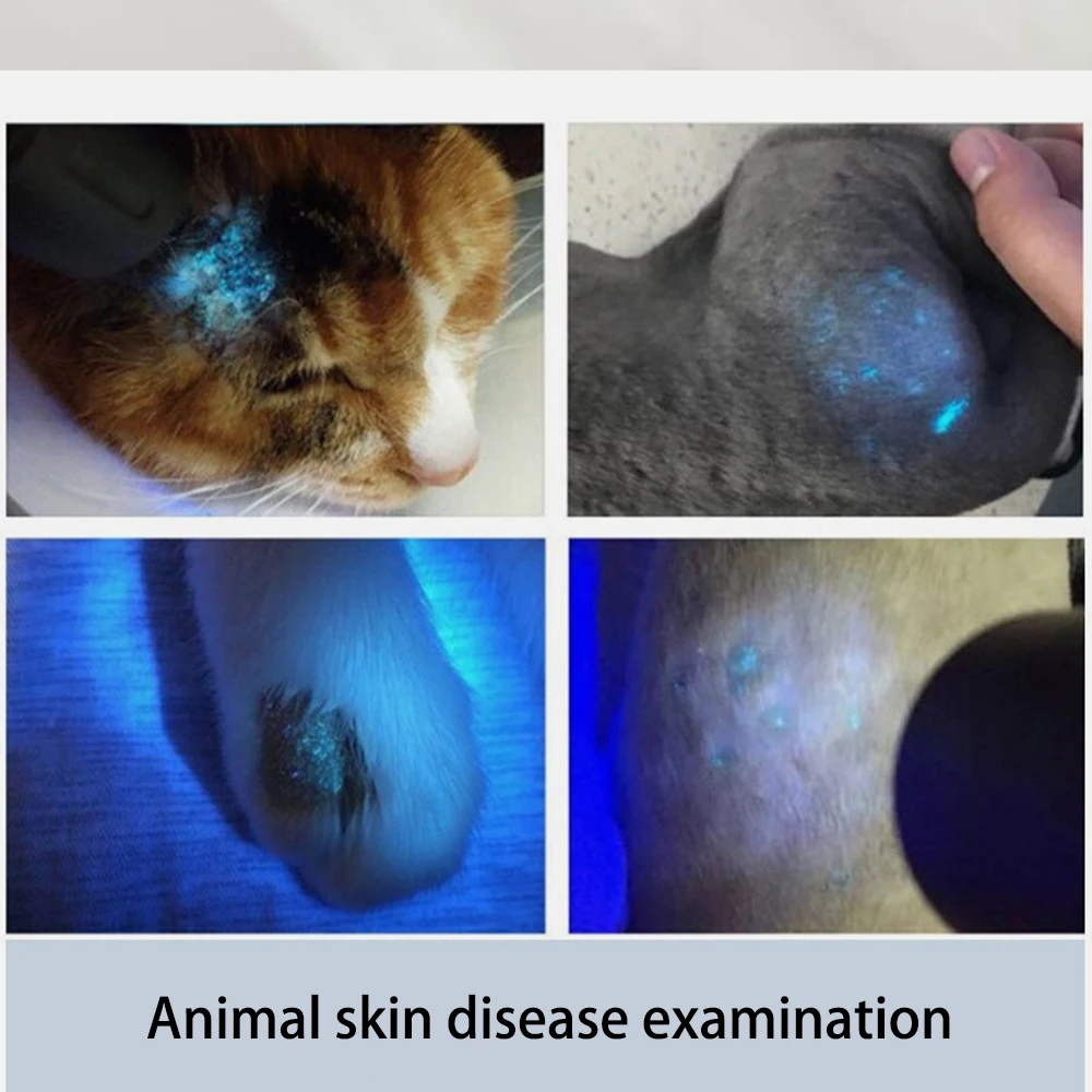Suministros para mascotas Lámpara de madera Carga USB Luz de filtro de mano Accesorios de diagnóstico de piel de mascotas Clínica - imagen 3