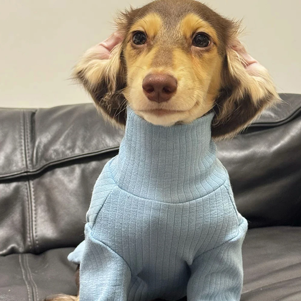Abrigo suave de manga larga para perros Wiener, camiseta cálida de cuello alto para perros salchicha, pijamas dulces de invierno para perros tejón - imagen 3