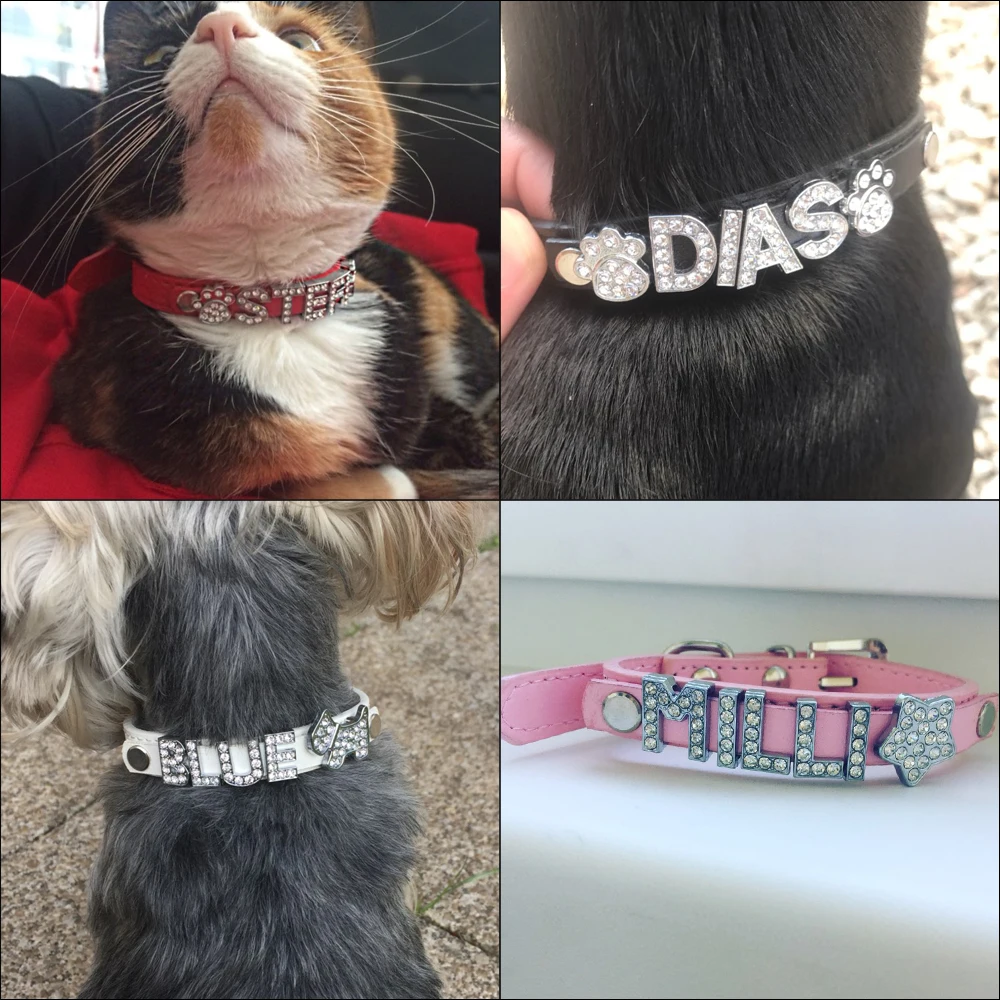 Collar brillante personalizado para perros pequeños - imagen 5