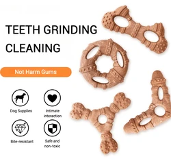 Juguete molar para cachorros y perros medianos – hueso masticable para limpiar dientes