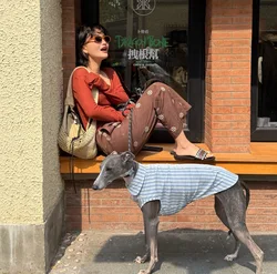Camiseta sin mangas a rayas azules para perro galgo italiano