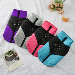 Chaleco impermeable para perro Bulldog – Abrigo térmico con anilla D