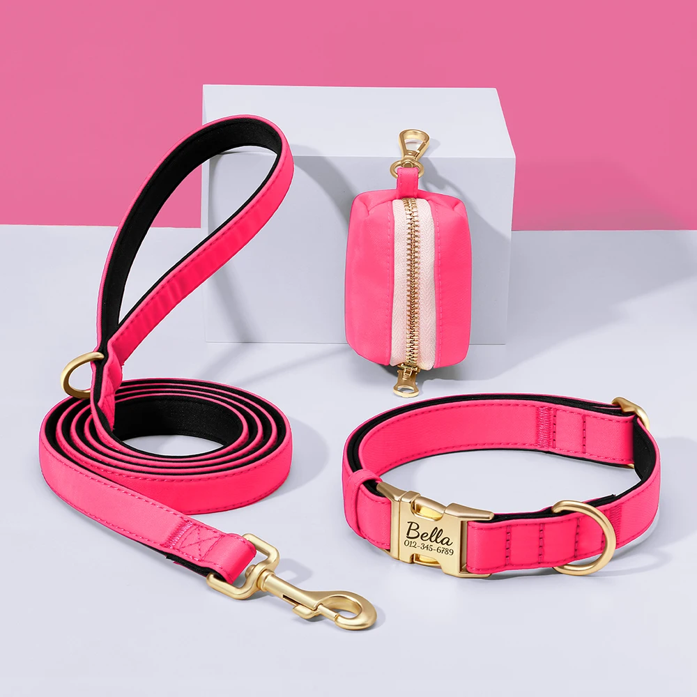 Collar de perro personalizado, conjunto de bolsa con correa, collares con etiqueta de identificación para mascotas, bolsa de golosinas para mascotas, bolsas de aperitivos para perros pequeños, medianos y grandes, 3 unids/set - imagen 3