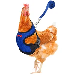 Arnés de moda transpirable para gallinas y patos con collar y correa
