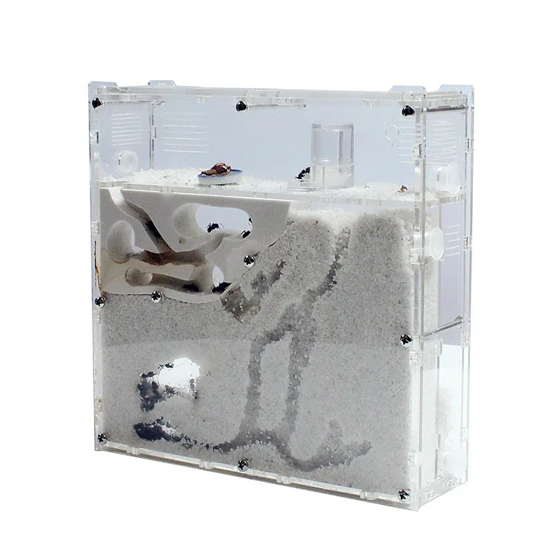 Divertida fábrica de hormigas, casa de hormigas, castillo, insectos, terrario, jaula para hormigas, caja de insectos, guardería, herramienta educativa ecológica para niños S21