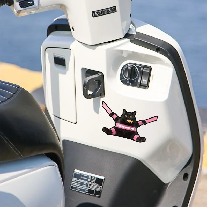 Pegatinas creativas impermeables para gatos – en coches y motos - imagen 3