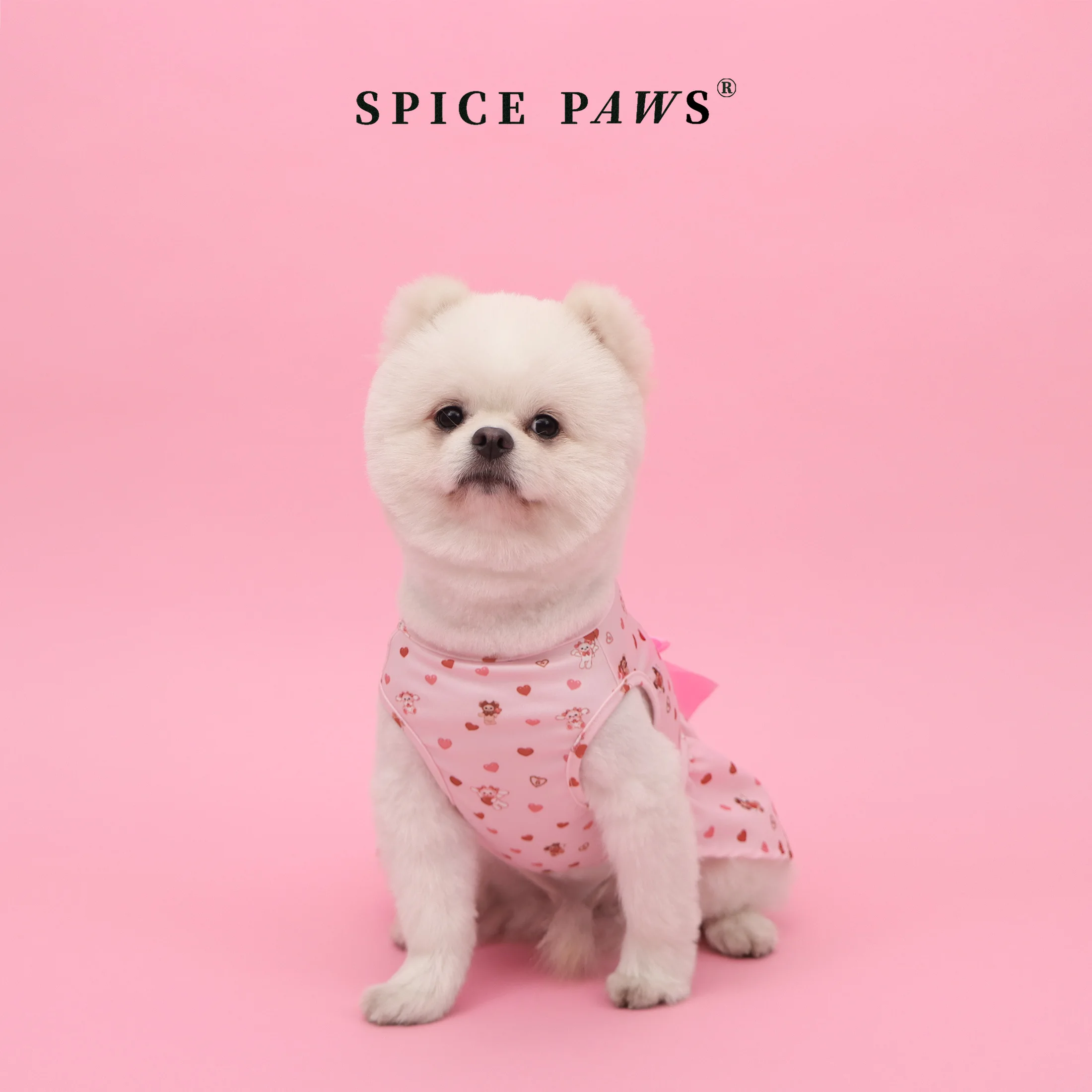 Vestido para perros con corazón rosa y moño suave – San Valentín - imagen 5
