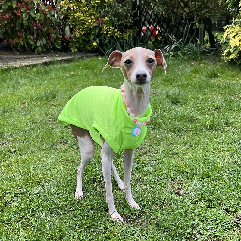 Abrigo de perro con protección UV y cuello alto Whippet de verano, sudadera de galgo italiano, chaleco transpirable para perro naranja y verde - imagen 2