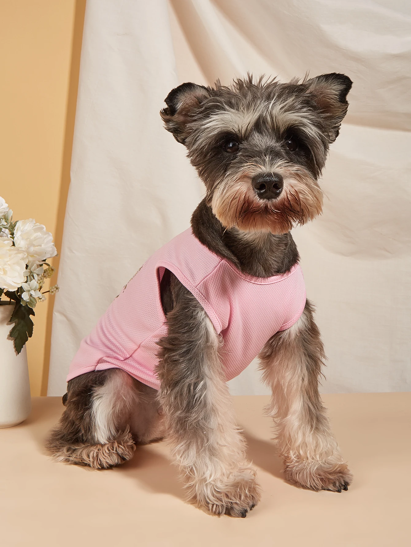 Ropa para mascotas para perro, gato, cachorro, camiseta sin mangas, abrigo con estampado floral de mariposa, sudadera cómoda, trajes para perros, ropa de tela para gatos - imagen 2