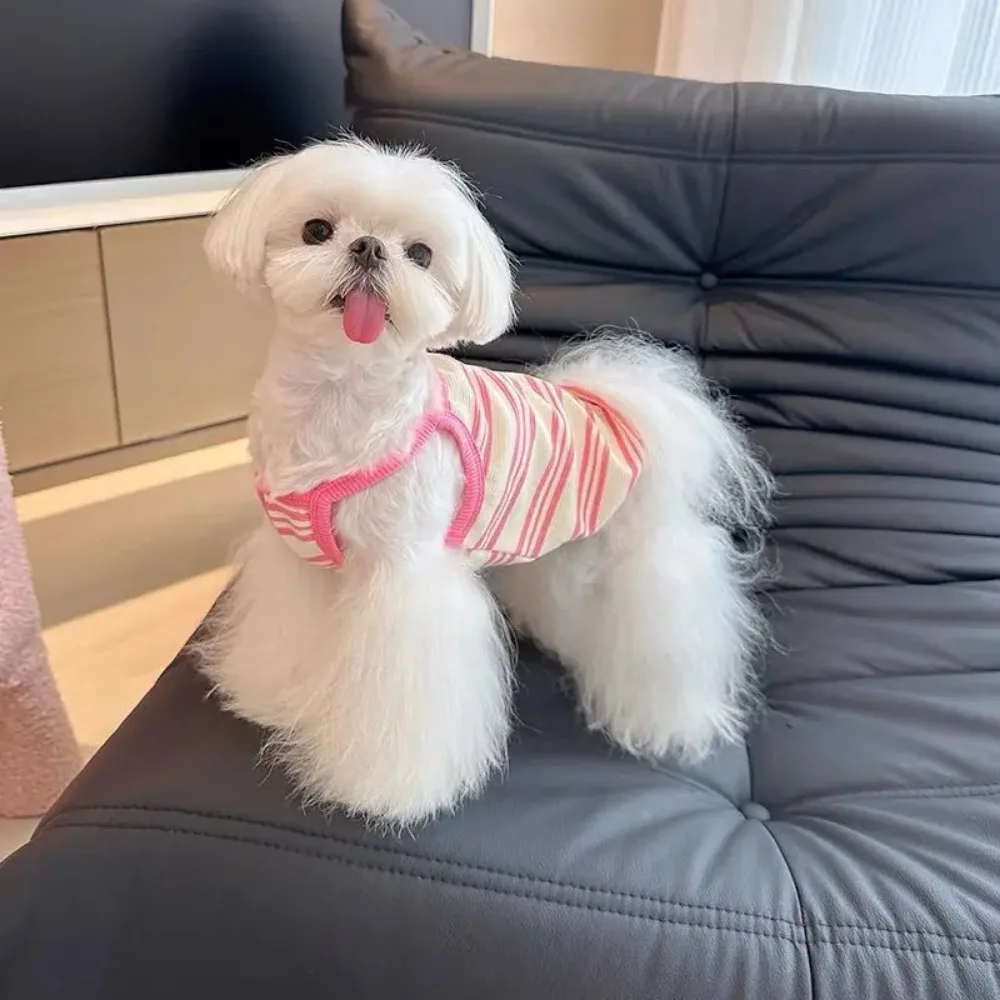 Ropa de verano para mascotas, camiseta sin mangas a rayas, protector solar bordado, ropa fina y transpirable para cachorros pequeños, chaleco refrescante para perros - imagen 2