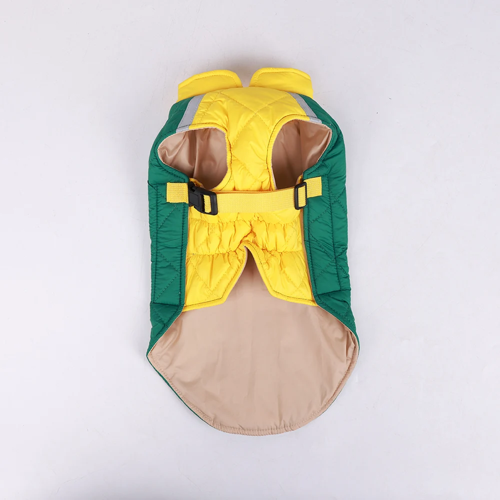 Ropa golden retriever - Uso en Golden Retriever