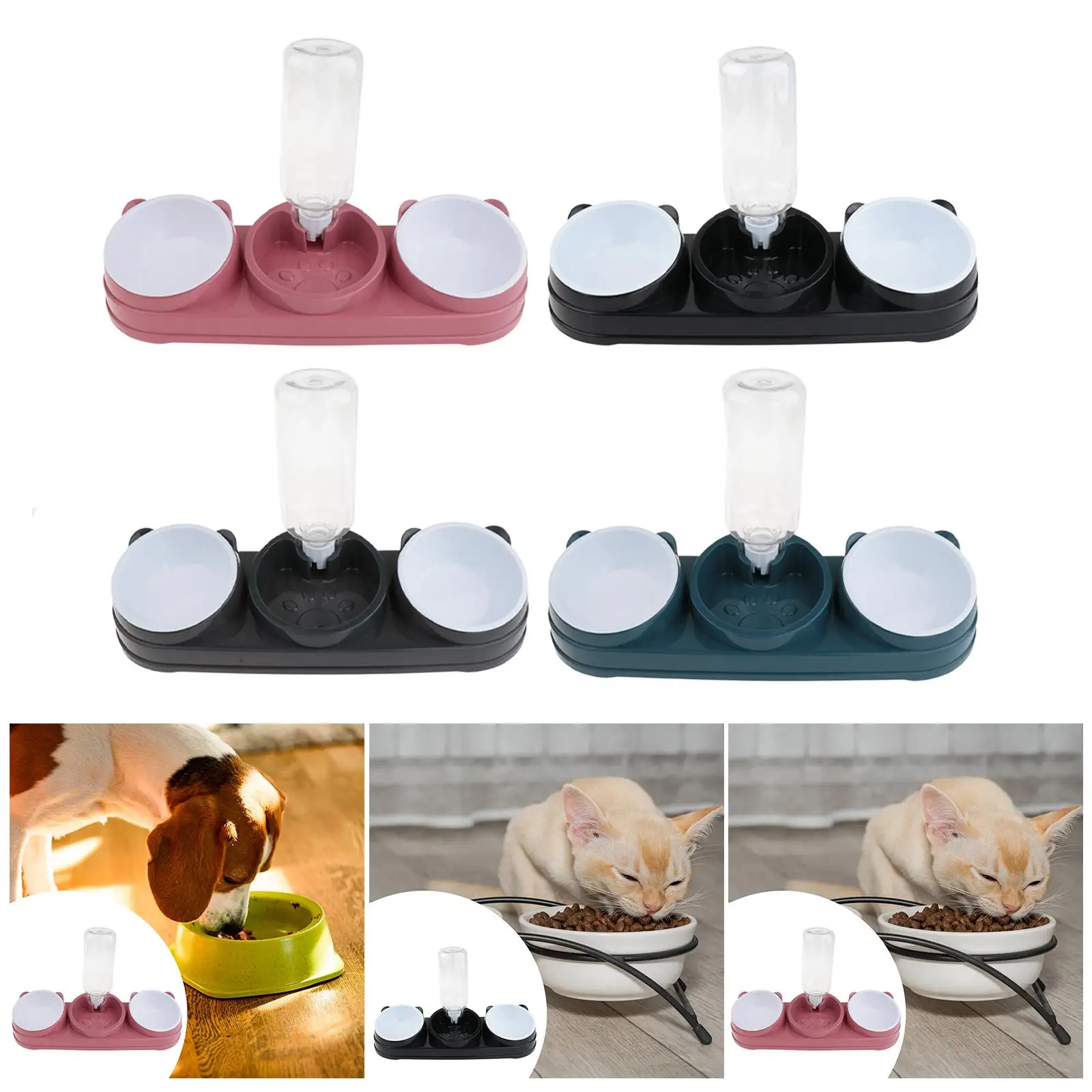 2 Food Bowls and Water Feeder Set Raised Raised Cat Dish for Feeding Puppy