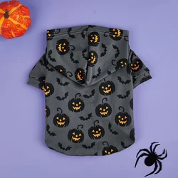 Sudadera con capucha perros Halloween motivo calabaza y murciélago